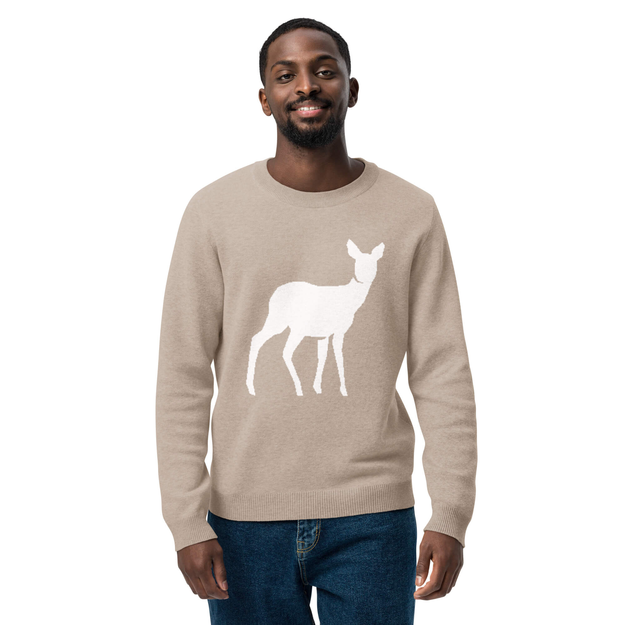 Klassischer Strickpullover mit Rundhalsausschnitt in Beige – Frontansicht Herren Größe M – Kuschelig warmer Pullover für Herbst und Winter
